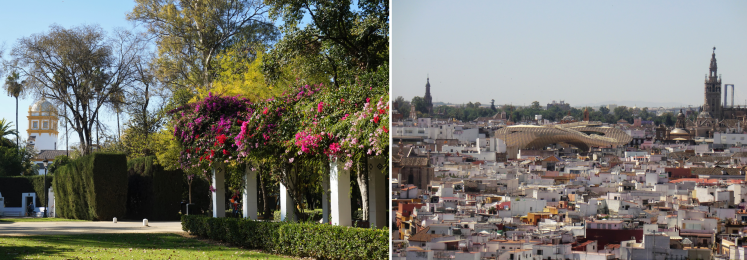 sevilla 4.png